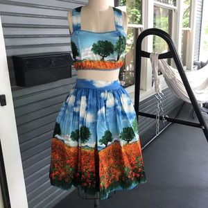 SOLD Bernie Dexter top and skirt set